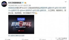 cfhf最新挑战爆料,巅峰对决，谁能问鼎荣耀之巅？