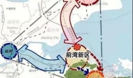 前湾新区爆料事件始末最新消息,真相大白，最新进展揭秘！”